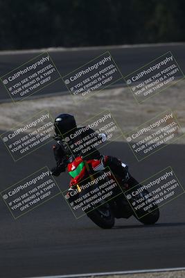 media/Nov-02-2025-Lets Ride (Sun) [[f7a3caa734]]/C Group/1040am (turn 3)/